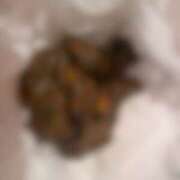 ヒメ日記 2026/01/03 23:31 投稿 れいな フェチクラブ