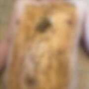 ヒメ日記 2026/01/19 18:51 投稿 れいな フェチクラブ