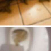 ヒメ日記 2026/03/03 21:58 投稿 れいな フェチクラブ