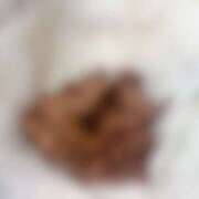 ヒメ日記 2026/03/06 19:28 投稿 れいな フェチクラブ