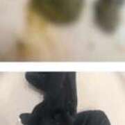 ヒメ日記 2026/03/20 20:16 投稿 れいな フェチクラブ