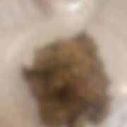 ヒメ日記 2026/03/21 18:56 投稿 れいな フェチクラブ