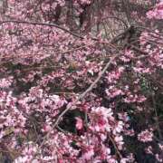 ヒメ日記 2026/03/23 11:15 投稿 れいな フェチクラブ