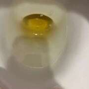 ヒメ日記 2026/03/29 08:33 投稿 れいな フェチクラブ