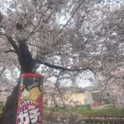 ヒメ日記 2026/03/31 09:34 投稿 れいな フェチクラブ