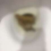 ヒメ日記 2026/04/03 10:28 投稿 れいな フェチクラブ