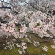 ヒメ日記 2026/04/11 10:06 投稿 れいな フェチクラブ