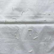 ヒメ日記 2026/07/17 09:35 投稿 れいな フェチクラブ