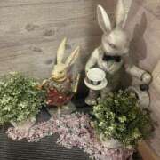 ちえみ こんにちは 立川洗体風俗エステ ココリラ