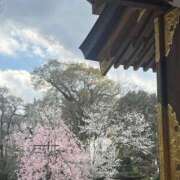 ヒメ日記 2026/04/03 12:46 投稿 ちえみ 立川洗体風俗エステ ココリラ