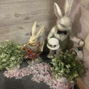 ヒメ日記 2025/05/18 16:31 投稿 ちえみ ココリラ吉祥寺・調布店