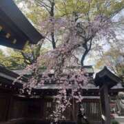 ちえみ こんにちは ココリラ吉祥寺・調布店