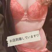 ヒメ日記 2025/06/05 15:46 投稿 ゆめ 東京妻next (京都グループ)