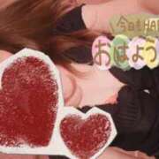 ヒメ日記 2025/06/26 12:07 投稿 ゆめ 東京妻next (京都グループ)