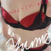 ヒメ日記 2025/07/14 09:36 投稿 ゆめ 東京妻next (京都グループ)