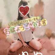 ヒメ日記 2025/07/25 08:56 投稿 ゆめ 東京妻next (京都グループ)