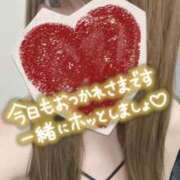 ヒメ日記 2025/07/29 11:26 投稿 ゆめ 東京妻next (京都グループ)