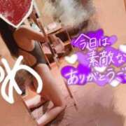 ヒメ日記 2025/08/23 01:16 投稿 ゆめ 東京妻next (京都グループ)