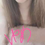 ヒメ日記 2025/09/09 11:07 投稿 ゆめ 東京妻next (京都グループ)