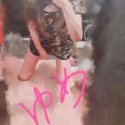 ヒメ日記 2025/09/23 16:36 投稿 ゆめ 東京妻next (京都グループ)