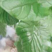 ヒメ日記 2025/09/30 20:27 投稿 ゆめ 東京妻next (京都グループ)