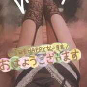 ヒメ日記 2025/10/08 06:36 投稿 ゆめ 東京妻next (京都グループ)