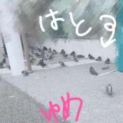 ヒメ日記 2025/10/25 00:36 投稿 ゆめ 東京妻next (京都グループ)