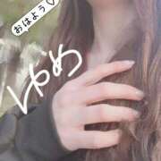 ヒメ日記 2025/11/03 09:26 投稿 ゆめ 東京妻next (京都グループ)