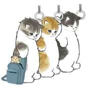 ひとみ ひとみ（clubさくら日本橋店） club さくら日本橋店