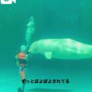 ヒメ日記 2025/08/08 21:32 投稿 滝沢なお 全裸美女からのカゲキな誘惑