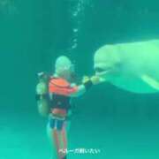 ヒメ日記 2025/08/09 23:33 投稿 滝沢なお 全裸美女からのカゲキな誘惑