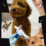 ヒメ日記 2025/08/26 17:05 投稿 滝沢なお 全裸美女からのカゲキな誘惑