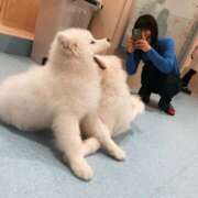 ヒメ日記 2025/11/02 12:07 投稿 滝沢なお 全裸美女からのカゲキな誘惑