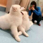 ヒメ日記 2026/01/11 23:15 投稿 滝沢なお 全裸美女からのカゲキな誘惑