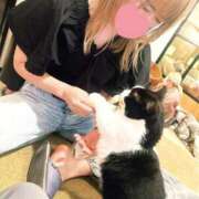 滝沢なお ゆっくり 全裸美女からのカゲキな誘惑