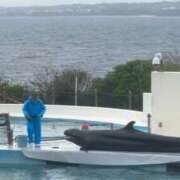 ヒメ日記 2026/03/05 09:26 投稿 滝沢なお 全裸美女からのカゲキな誘惑