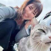 ヒメ日記 2026/03/29 23:08 投稿 滝沢なお 全裸美女からのカゲキな誘惑