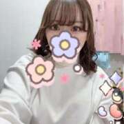 ヒメ日記 2025/01/27 01:00 投稿 めい プリコレ（PRINCESS COLLECTION）