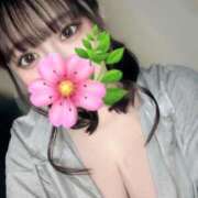 ヒメ日記 2025/02/28 19:53 投稿 めい プリコレ（PRINCESS COLLECTION）