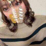 ヒメ日記 2025/03/17 18:30 投稿 めい プリコレ（PRINCESS COLLECTION）