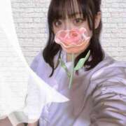 ヒメ日記 2025/03/29 13:17 投稿 めい プリコレ（PRINCESS COLLECTION）