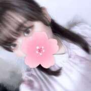 ヒメ日記 2025/04/12 12:05 投稿 めい プリコレ（PRINCESS COLLECTION）