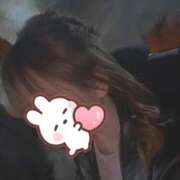 ヒメ日記 2025/04/15 15:20 投稿 めい プリコレ（PRINCESS COLLECTION）