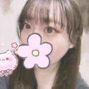 ヒメ日記 2025/04/17 19:37 投稿 めい プリコレ（PRINCESS COLLECTION）