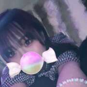 ヒメ日記 2025/04/23 04:34 投稿 めい プリコレ（PRINCESS COLLECTION）