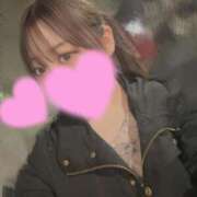 ヒメ日記 2025/04/29 04:44 投稿 めい プリコレ（PRINCESS COLLECTION）