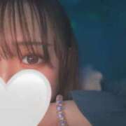 ヒメ日記 2025/04/30 04:14 投稿 めい プリコレ（PRINCESS COLLECTION）