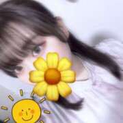 ヒメ日記 2025/04/30 08:30 投稿 めい プリコレ（PRINCESS COLLECTION）