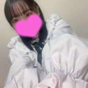 ヒメ日記 2025/05/21 03:28 投稿 めい プリコレ（PRINCESS COLLECTION）