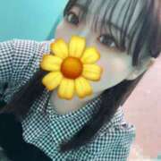 ヒメ日記 2025/06/08 05:37 投稿 めい プリコレ（PRINCESS COLLECTION）